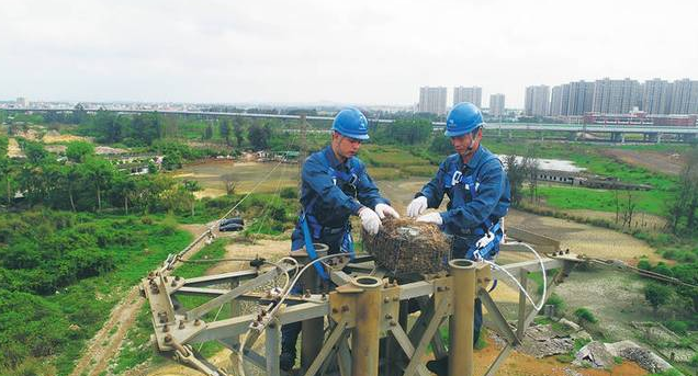 保護(hù)生態(tài)和諧共生，IKAR防墜器出一份力！